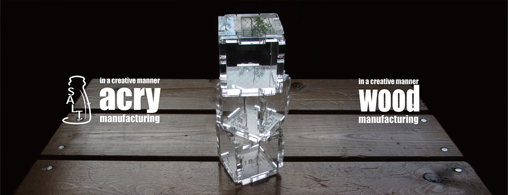 SALT イメージ写真